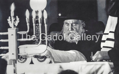 Rav Moshe Feinstein -1- רב משה פיינשטיין Sukkah Poster