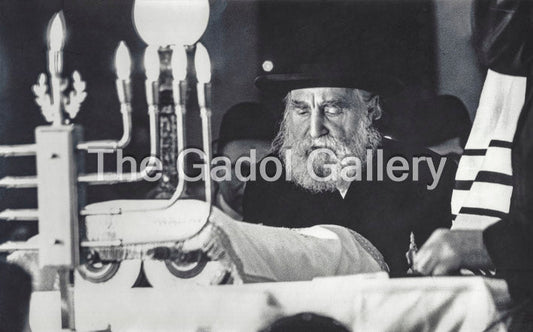 Rav Moshe Feinstein -1- רב משה פיינשטיין Sukkah Poster