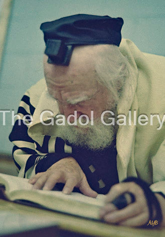 Rav Moshe Feinstein -3- רב משה פיינשטיין Sukkah Poster