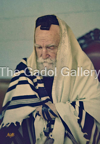 Rav Moshe Feinstein -4- רב משה פיינשטיין Sukkah Poster