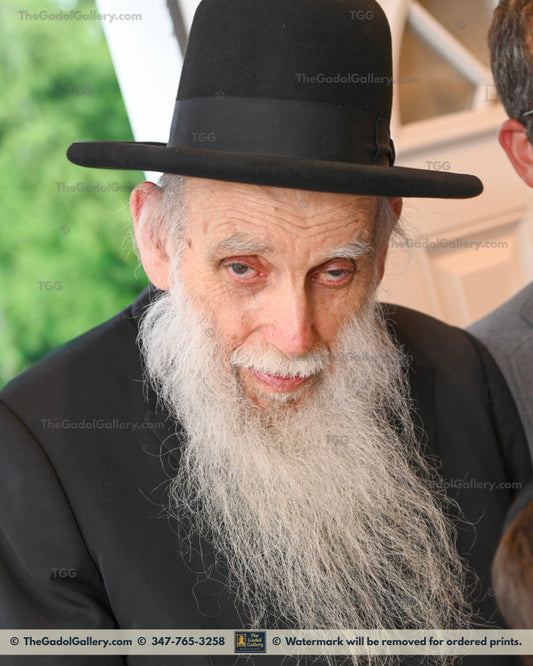 Rav Aharon Feldman - רב אהרן פלדמן 2