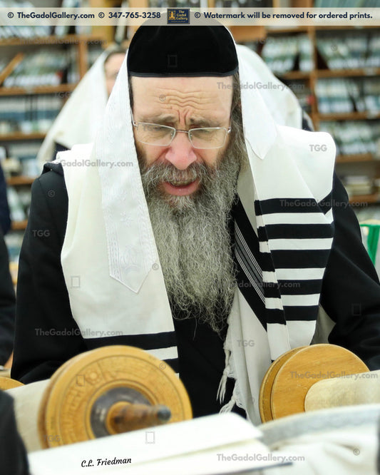 Rav Binyomin Finkel -1- רב בנימין "הצדיק" פינקל