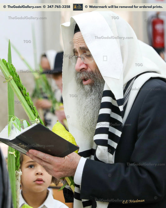 Rav Binyomin Finkel -3- רב בנימין "הצדיק" פינקל