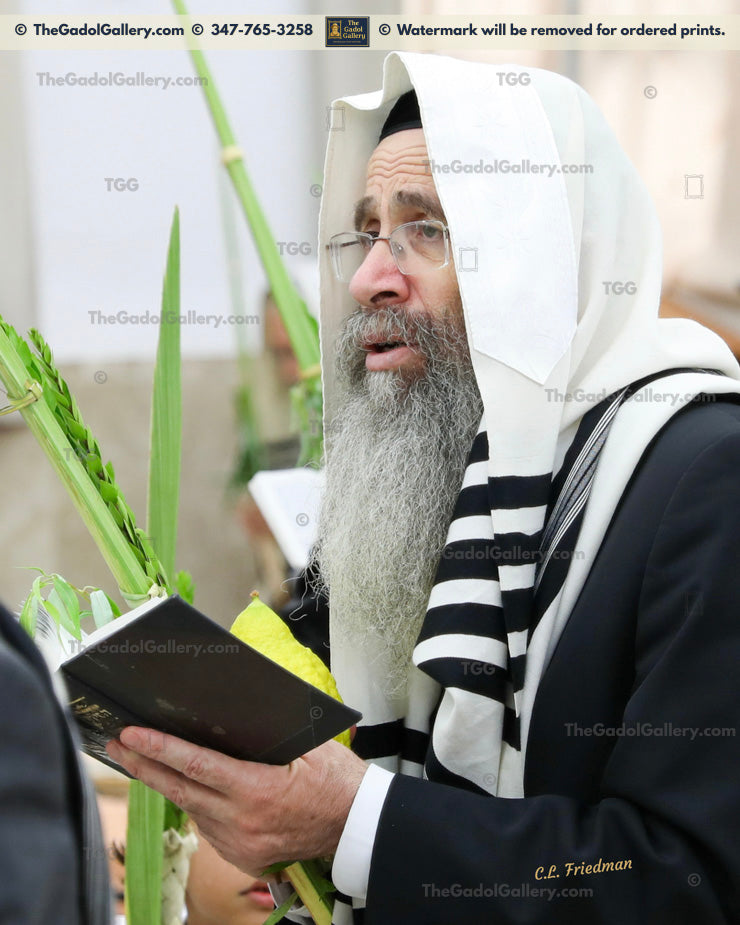 Rav Binyomin Finkel -4- רב בנימין "הצדיק" פינקל