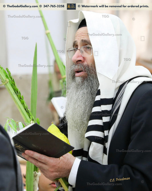 Rav Binyomin Finkel -4- רב בנימין "הצדיק" פינקל