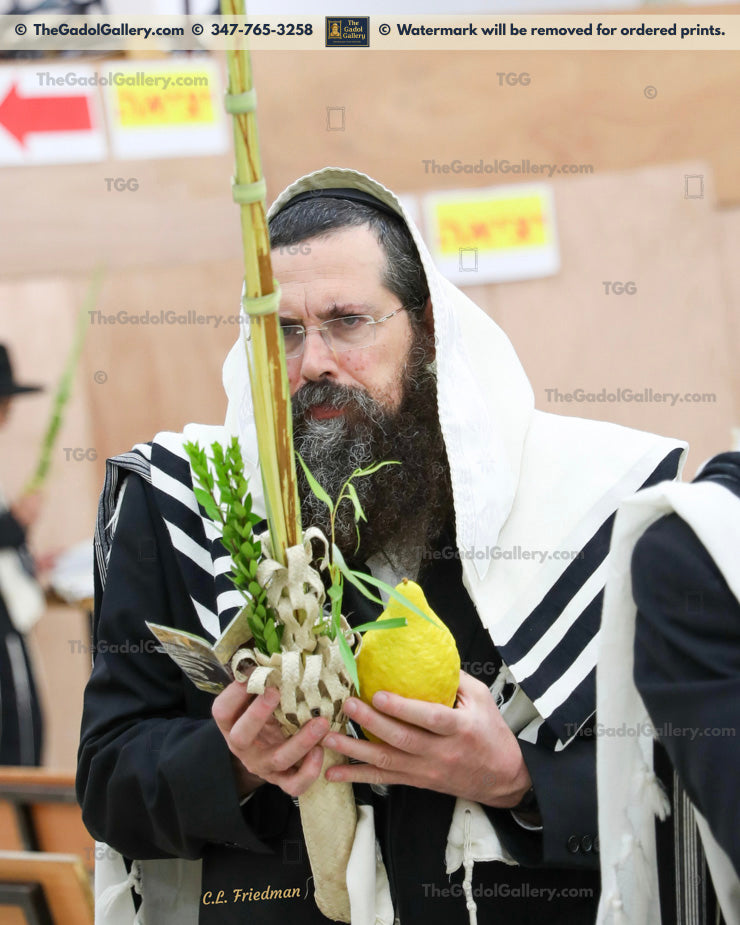 Rav Eliezer Yehuda Finkel -3- רב אליעזר יהודה פינקל