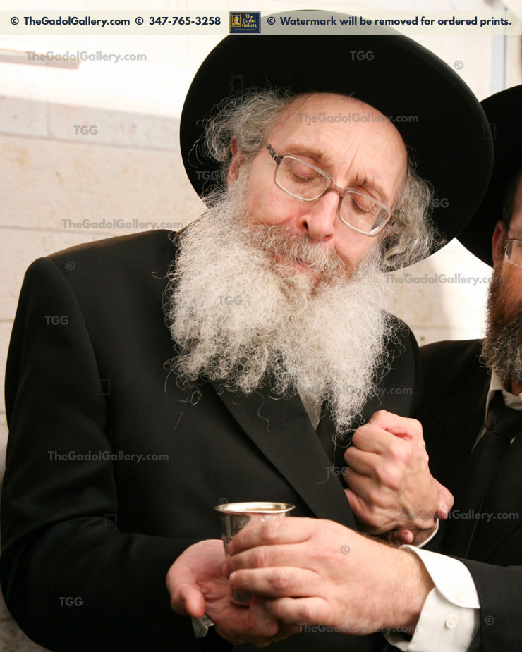 Rav Nosson Tzvi Finkel -1SD- רב נתן צבי פינקל
