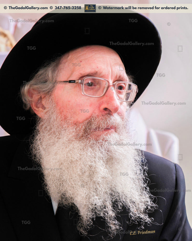 Rav Nosson Tzvi Finkel -2SD- רב נתן צבי פינקל