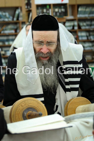 Rav Binyomin Finkel