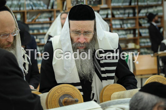 Rav Binyomin Finkel -2- רב בנימין "הצדיק" פינקל Sukkah Poster
