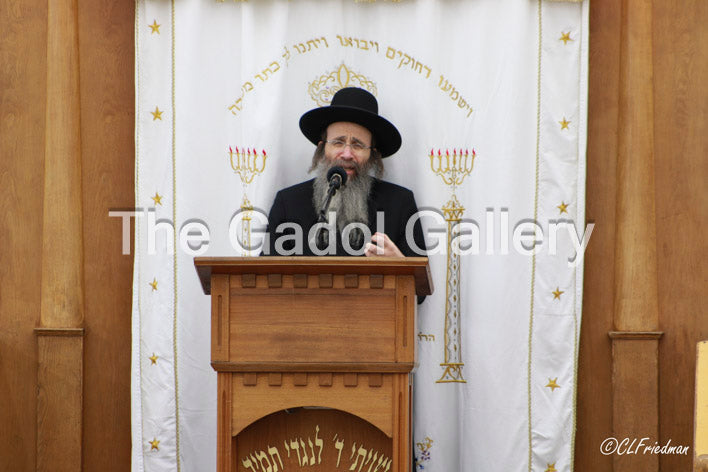 Rav Binyomin Finkel