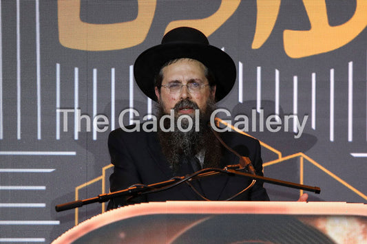 Rav Eliezer Yehuda Finkel -2- רב אליעזר יהודה פינקל Sukkah Poster