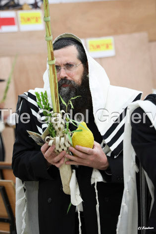 Rav Eliezer Yehuda Finkel -3- רב אליעזר יהודה פינקל