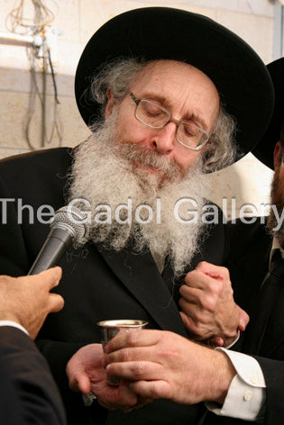 Rav Nosson Tzvi Finkel