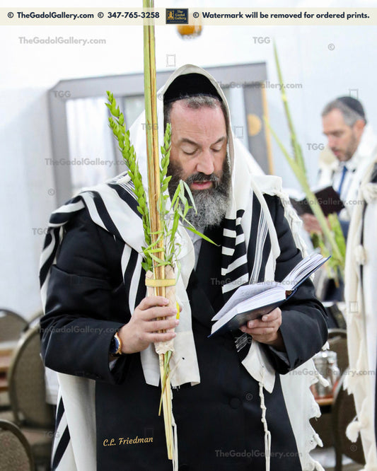 Rav Yoni Fischer