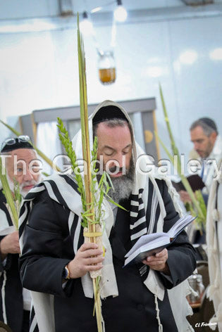 Rav Yoni Fischer