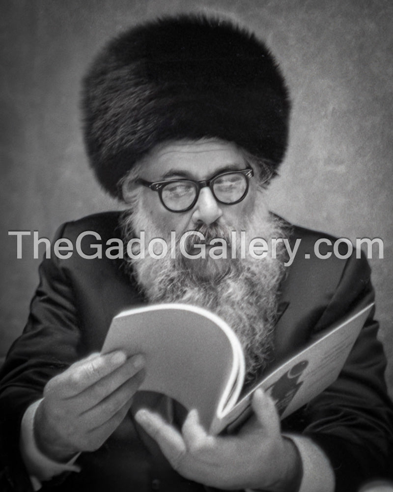 Rav Shlomo Freifeld - הרב שלמה פרייפלד Sukkah Poster
