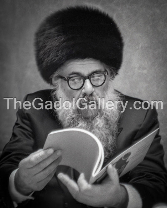 Rav Shlomo Freifeld - הרב שלמה פרייפלד Sukkah Poster