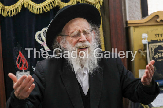 Rav Shimon Galai -2- רב שמעון גלאי Sukkah Poster