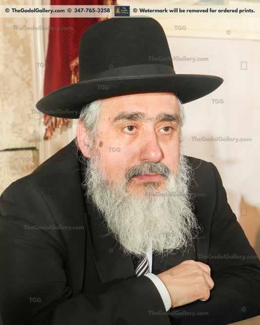 Rav Eliezer Ginsburg - 2