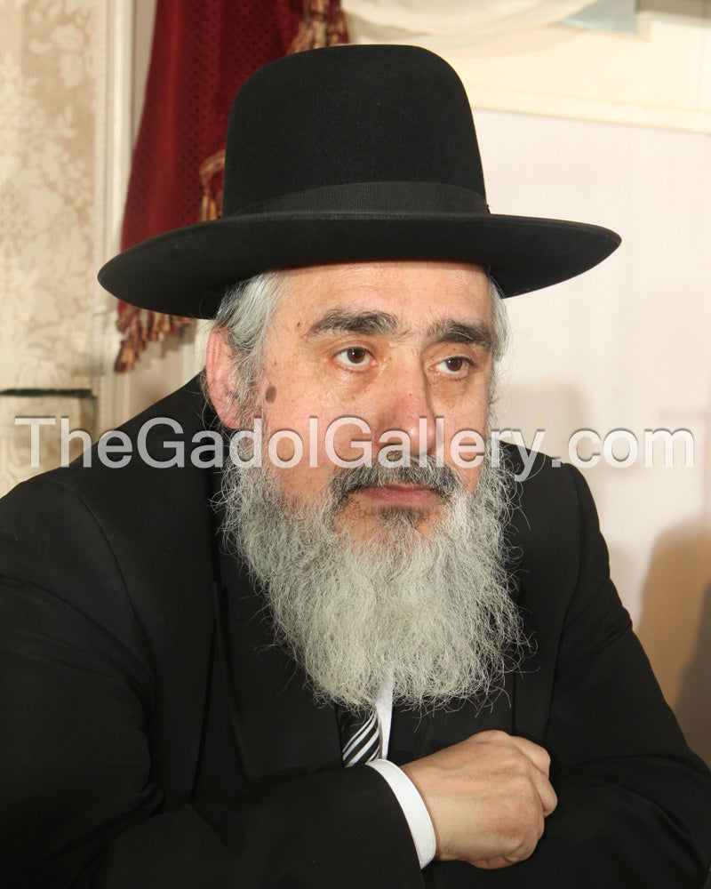 Rav Eliezer Ginsburg