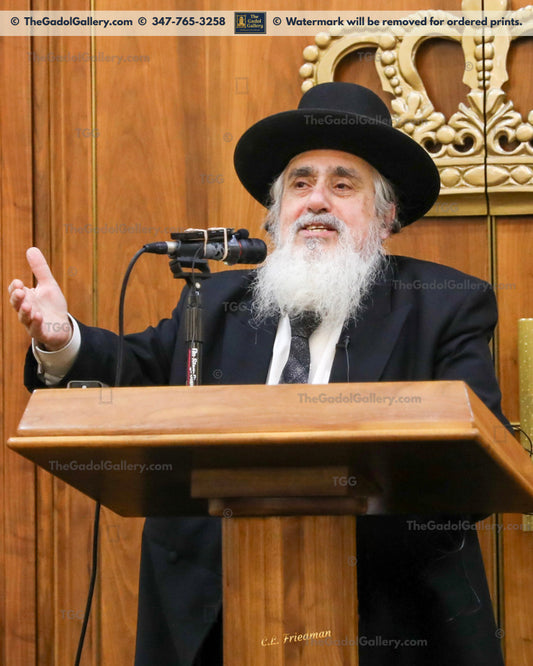 Rav Eliezer Ginsburg - 1