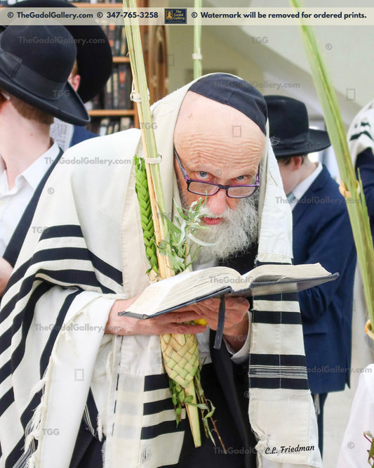 Rav Yisroel Glustein - Lulav