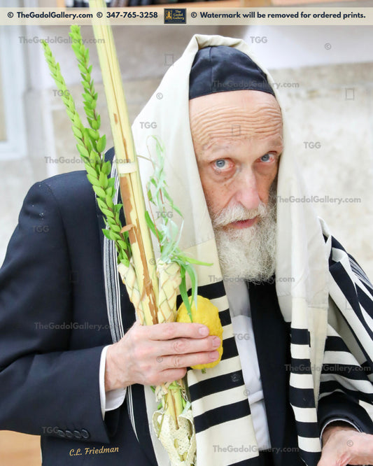 Rav Yisroel Glustein - 1