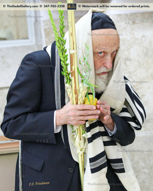 Rav Yisroel Glustein - 2