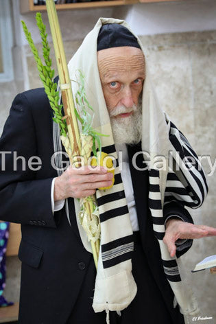 Rav Yisroel Glustein - 1 Sukkah Poster