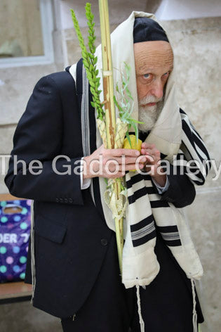 Rav Yisroel Glustein - 2 Sukkah Poster