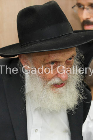 Rav Yisroel Glustein - 4 Sukkah Poster
