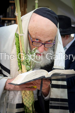 Rav Yisroel Glustein - 3 Sukkah Poster