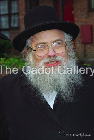 Rav Avrohom Gurwitz 1 Sukkah Poster