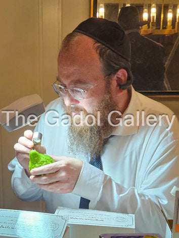 Rav Mordechai Gutfreund - 2 Sukkah Poster