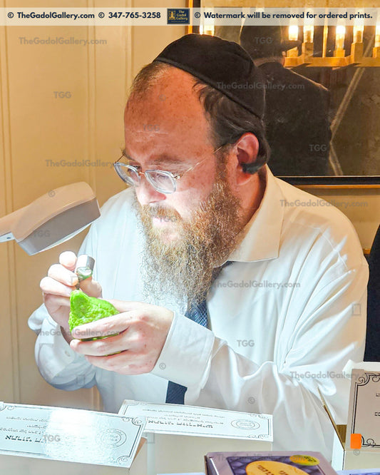 Rav Mordechai Gutfreund - 2