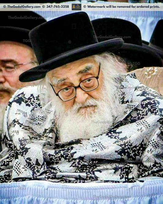 The Viznitz Rebbe of Monsey - Rav Mordechai Hager