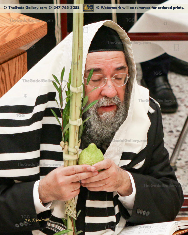 Rav Shlomo Halioua - Lulav & Esrog