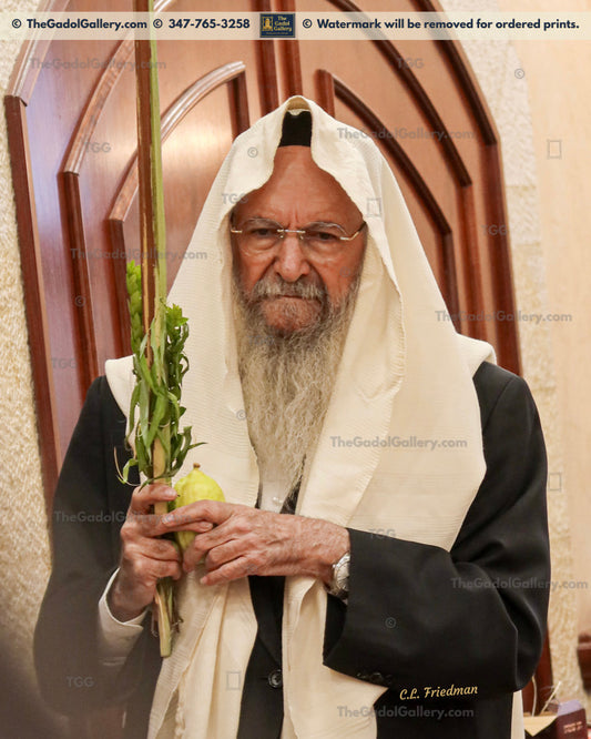 Rav Yaakov Moshe Hillel -Lulav- רב יעקב משה הלל