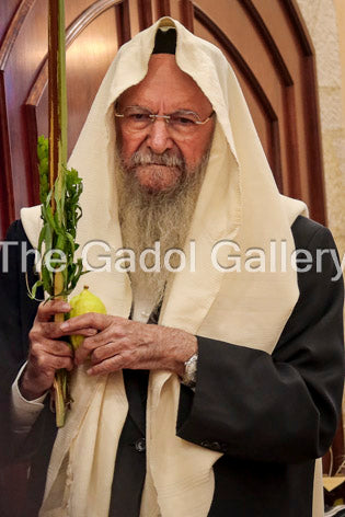 Rav Yaakov Moshe Hillel -5- רב יעקב משה הלל