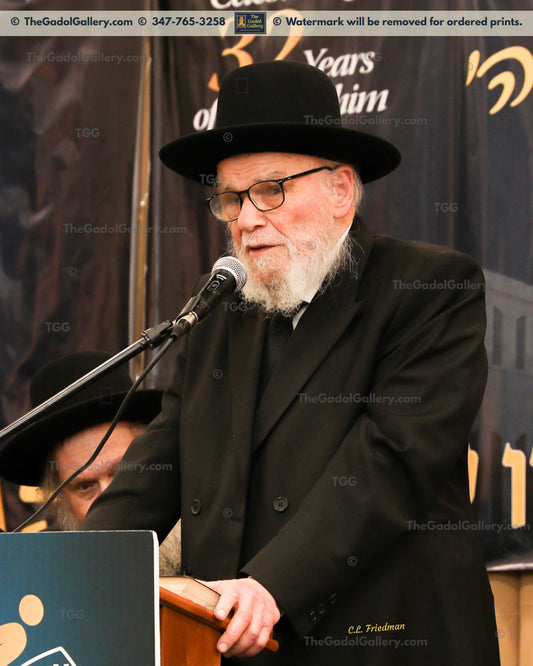 Rav Moshe Hillel Hirsch -3- רב משה הלל הירש