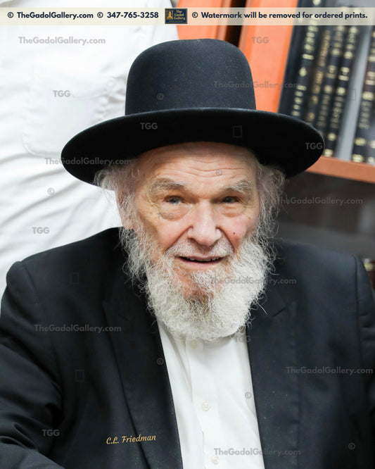 Rav Moshe Hillel Hirsch -5- רב משה הלל הירש
