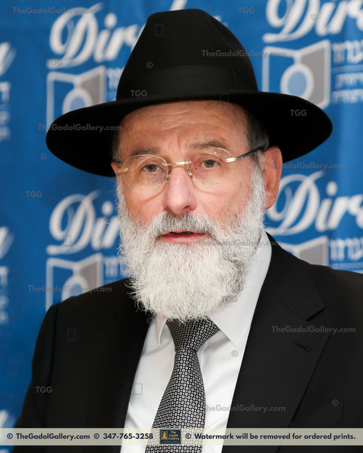 Rav Dovid Hofsteder -2