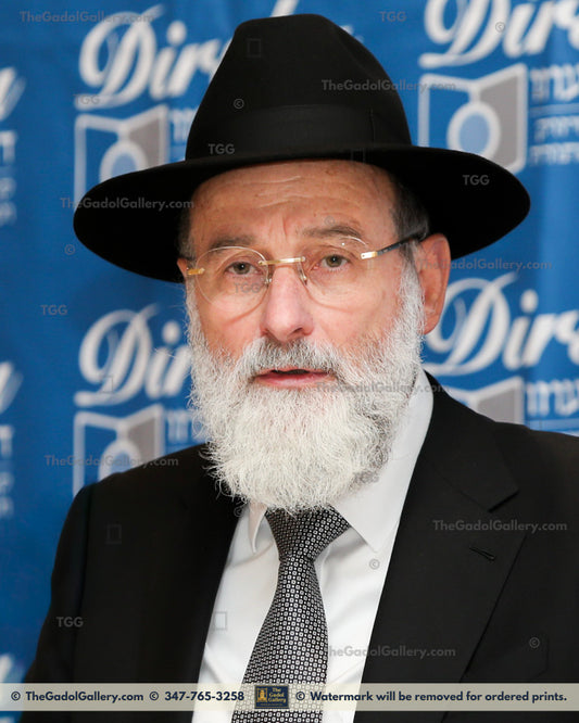 Rav Dovid Hofsteder -2