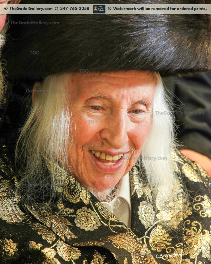 The Kaliver Rebbe