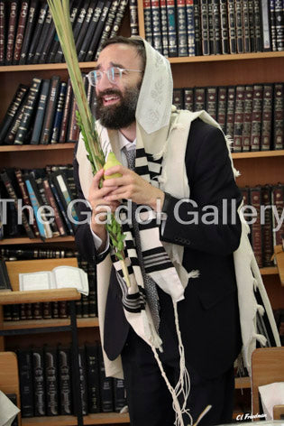 Rav Shraga Kallus - 1 Sukkah Poster