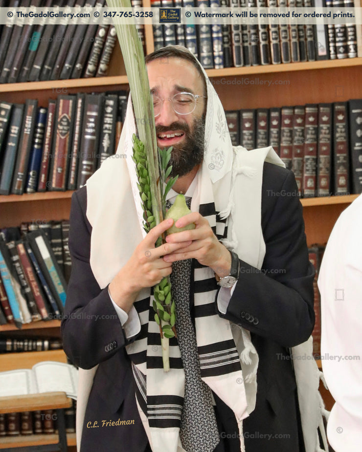 Rav Shraga Kallus - 2