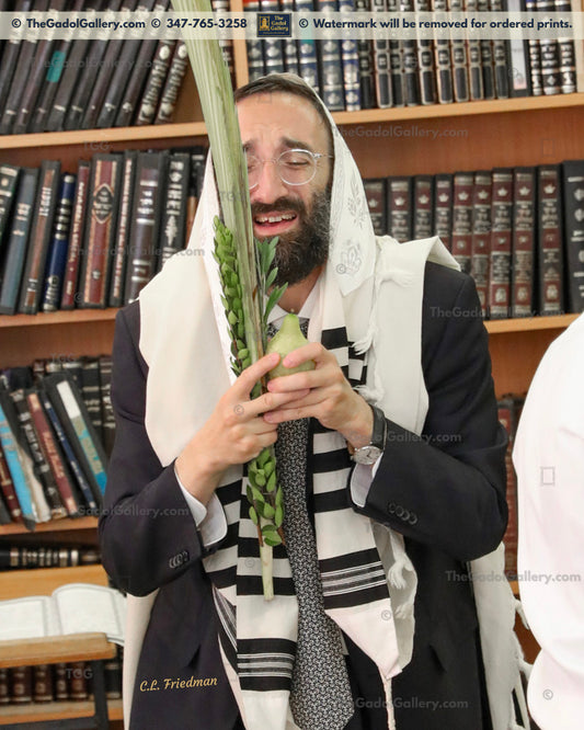 Rav Shraga Kallus - 2