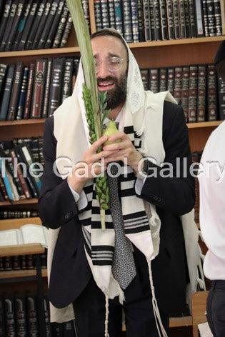 Rav Shraga Kallus - 2 Sukkah Poster