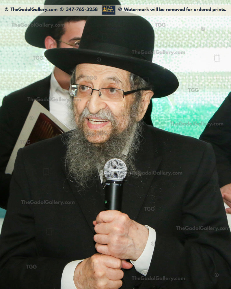 Rav Shmuel Kaminetsky -1TU- רב שמואל קאמענעצקי